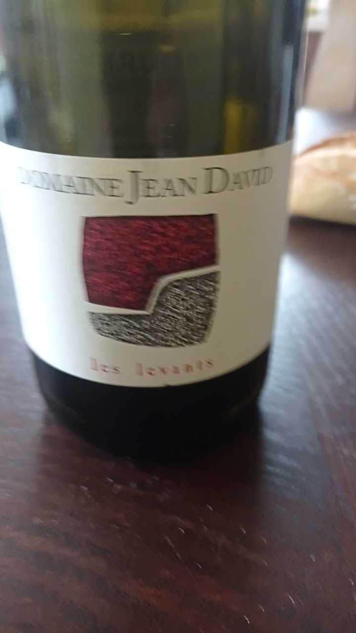 Les Levants - Domaine Jean David - Jean-Luc Auffret, Martine & Jean David 