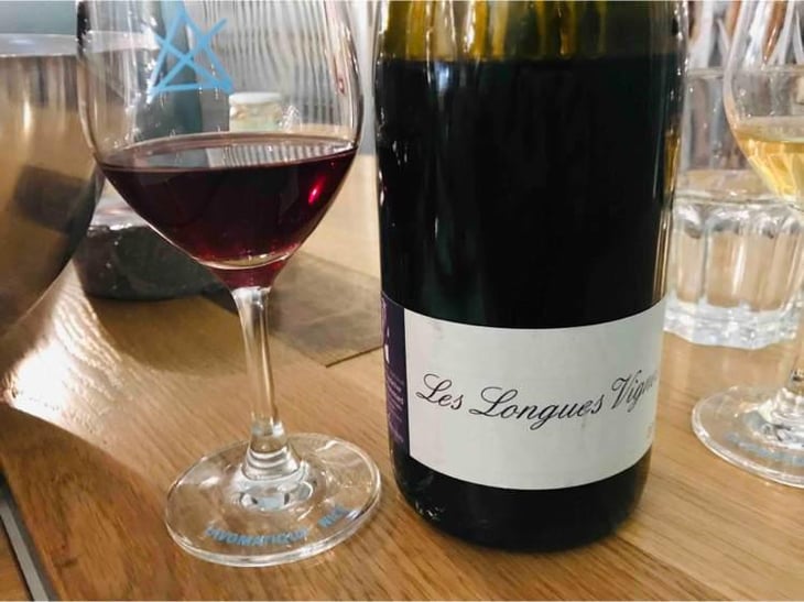 Les Longues Vignes - Le Briseau - Nathalie Gaubicher (et Christian Chaussard) 