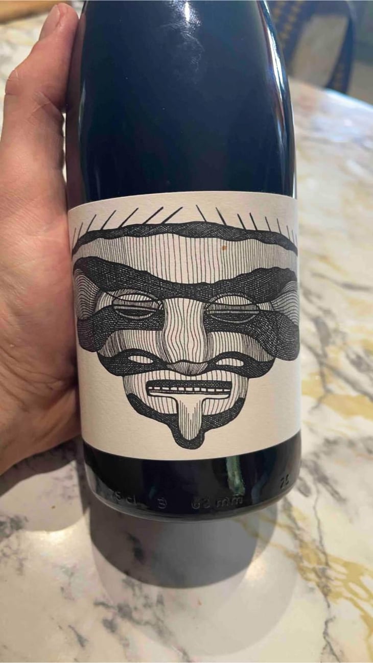 Les Magnes X Pierre Michelland - Vin des Potes - Basile Passe -2020