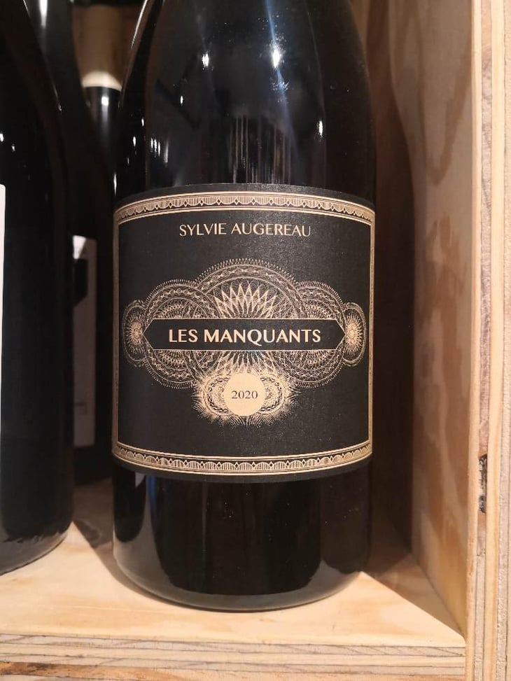 Les Manquants - Sylvie Augereau - Sylvie Augereau 