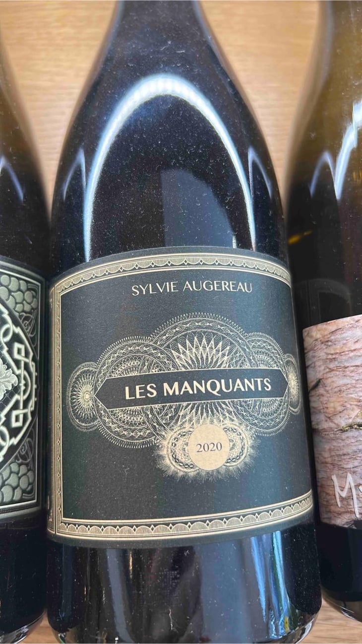 Les Manquants - Sylvie Augereau - Sylvie Augereau 