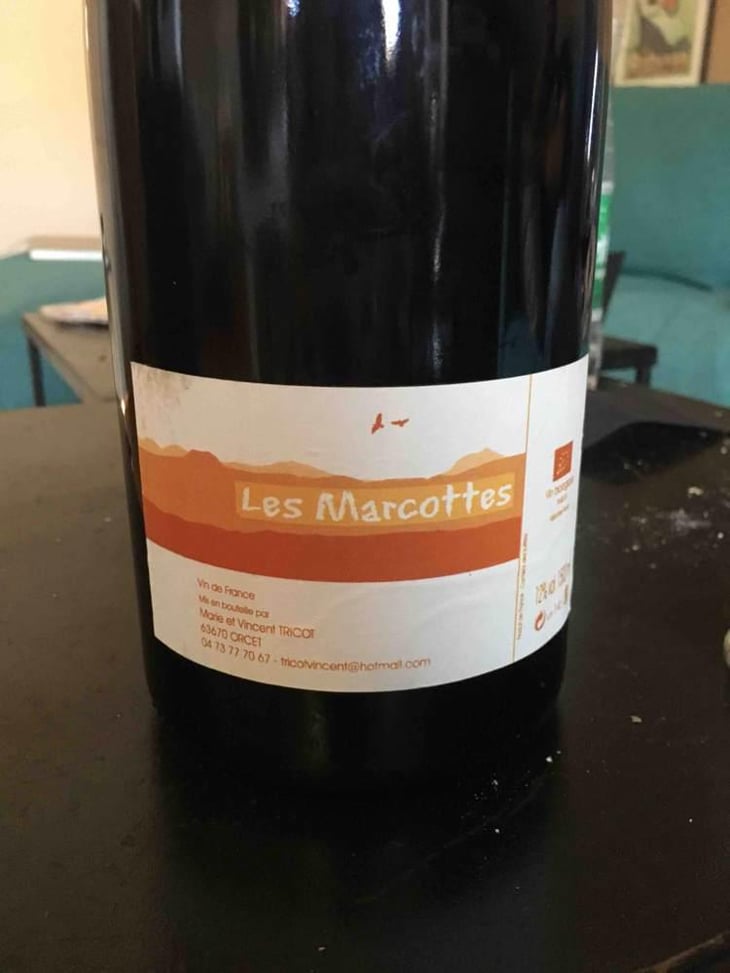 Les Marcottes - Marie et Vincent Tricot - Vincent et Marie Tricot 
