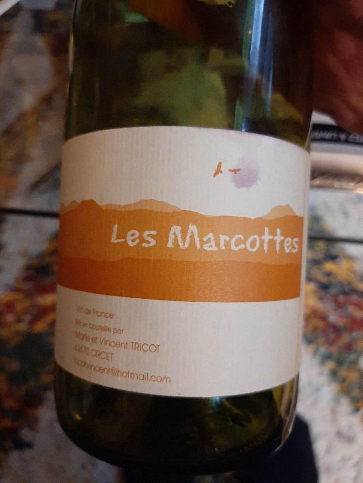 Les Marcottes - Marie et Vincent Tricot - Vincent et Marie Tricot 