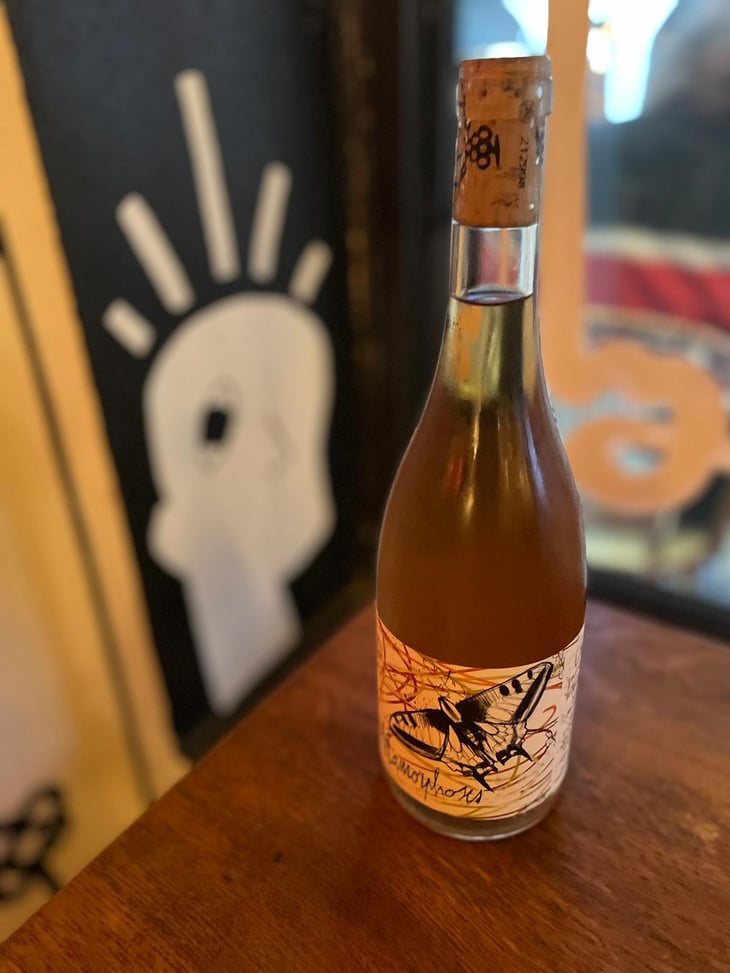 Les Metamorphoses - Domaine les Gragnotes - Benoit Guillot & Erika Mazer 