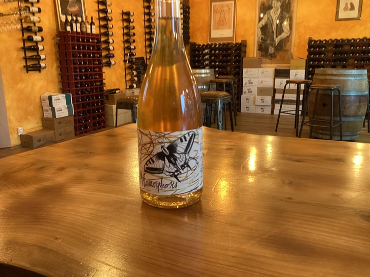 Les Metamorphoses - Domaine les Gragnotes - Benoit Guillot & Erika Mazer 