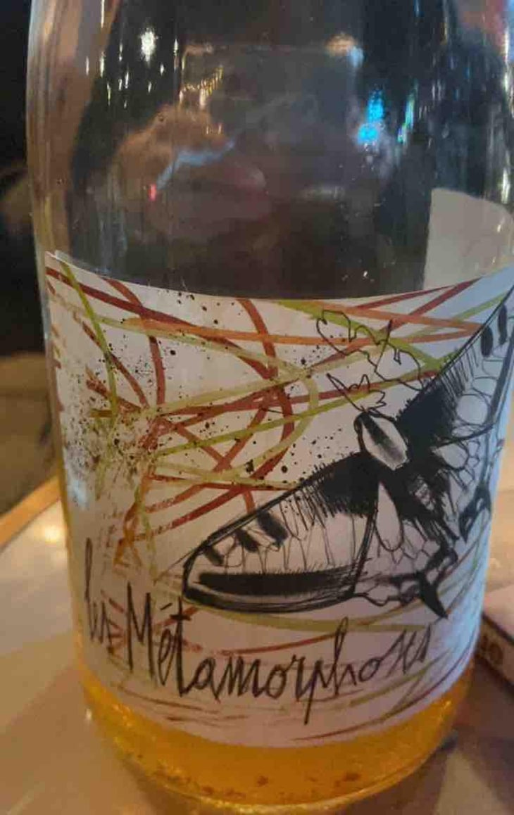 Les Metamorphoses - Domaine les Gragnotes - Benoit Guillot & Erika Mazer 