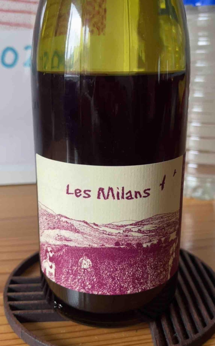 Les Milans - Marie et Vincent Tricot - Vincent et Marie Tricot 