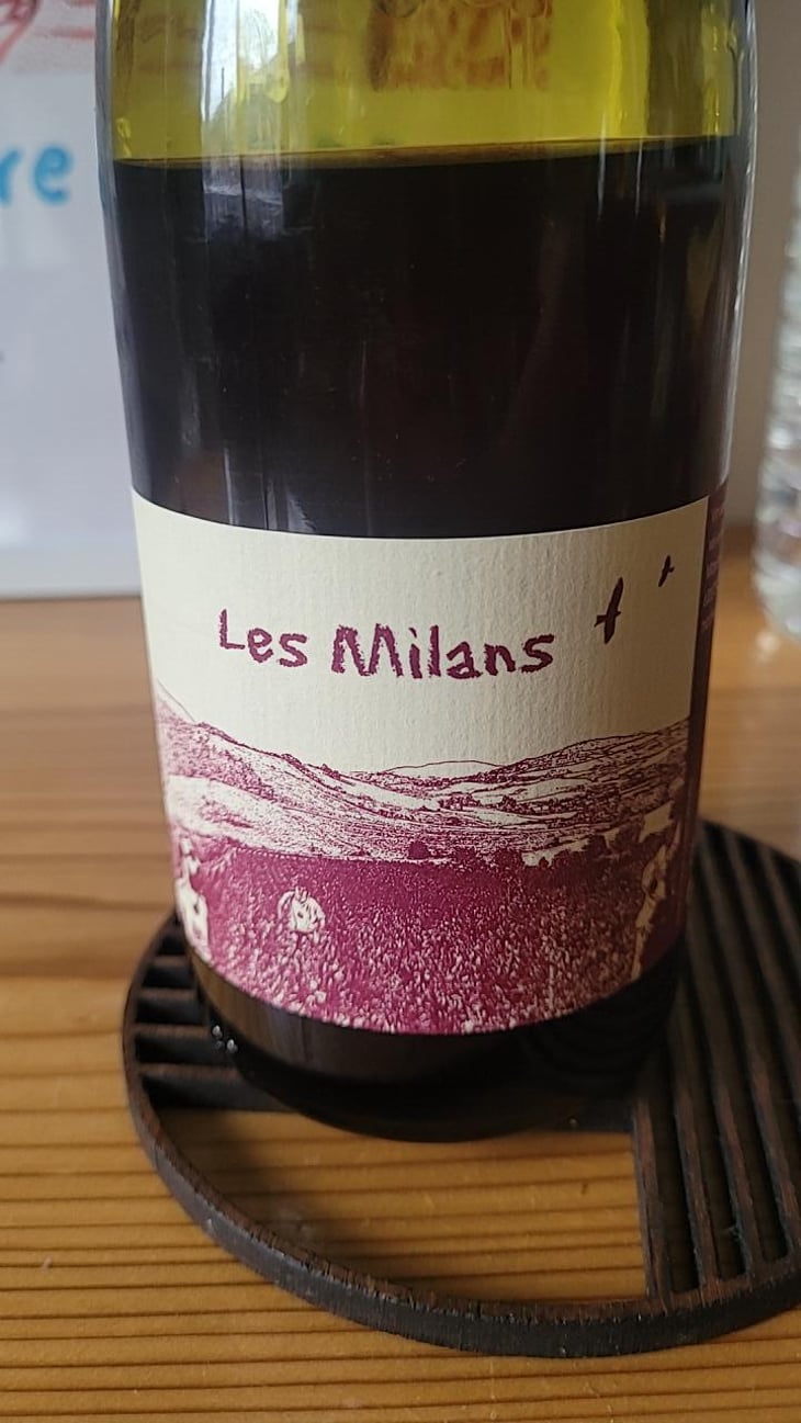 Les Milans - Marie et Vincent Tricot - Vincent et Marie Tricot 