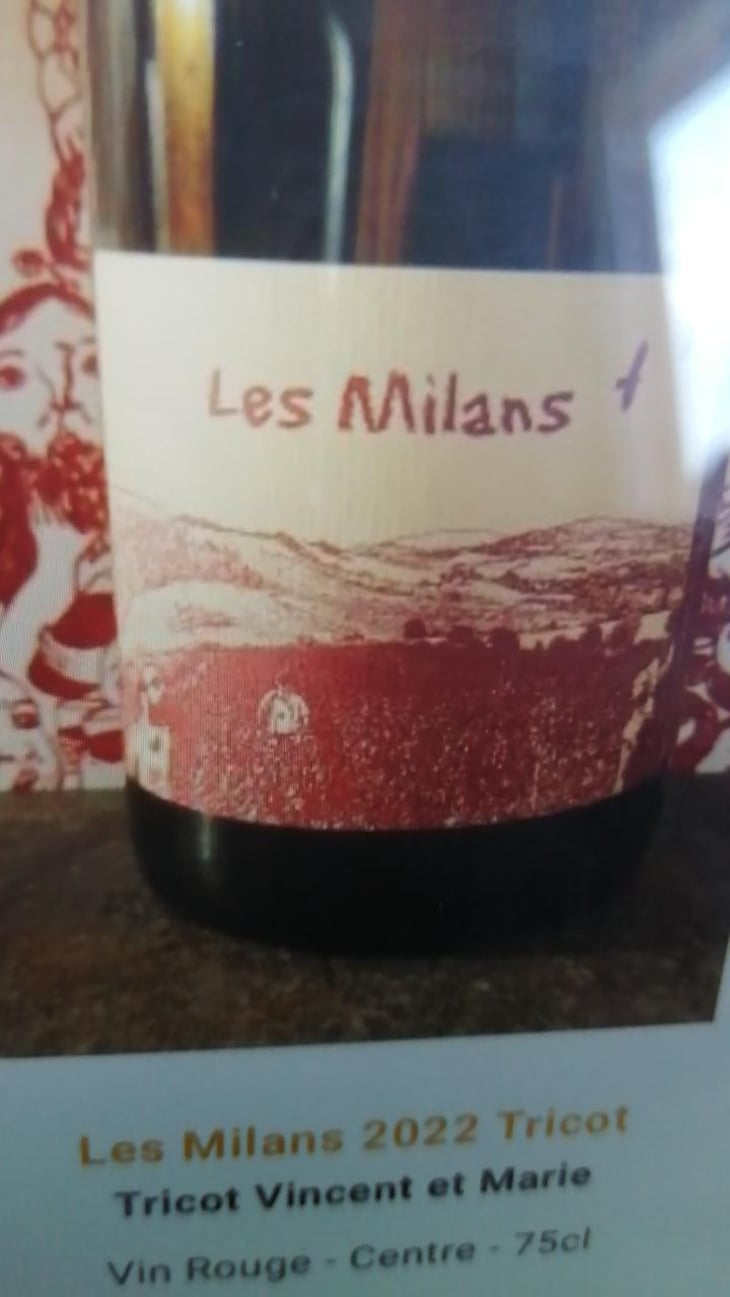 Les Milans - Marie et Vincent Tricot - Vincent et Marie Tricot 