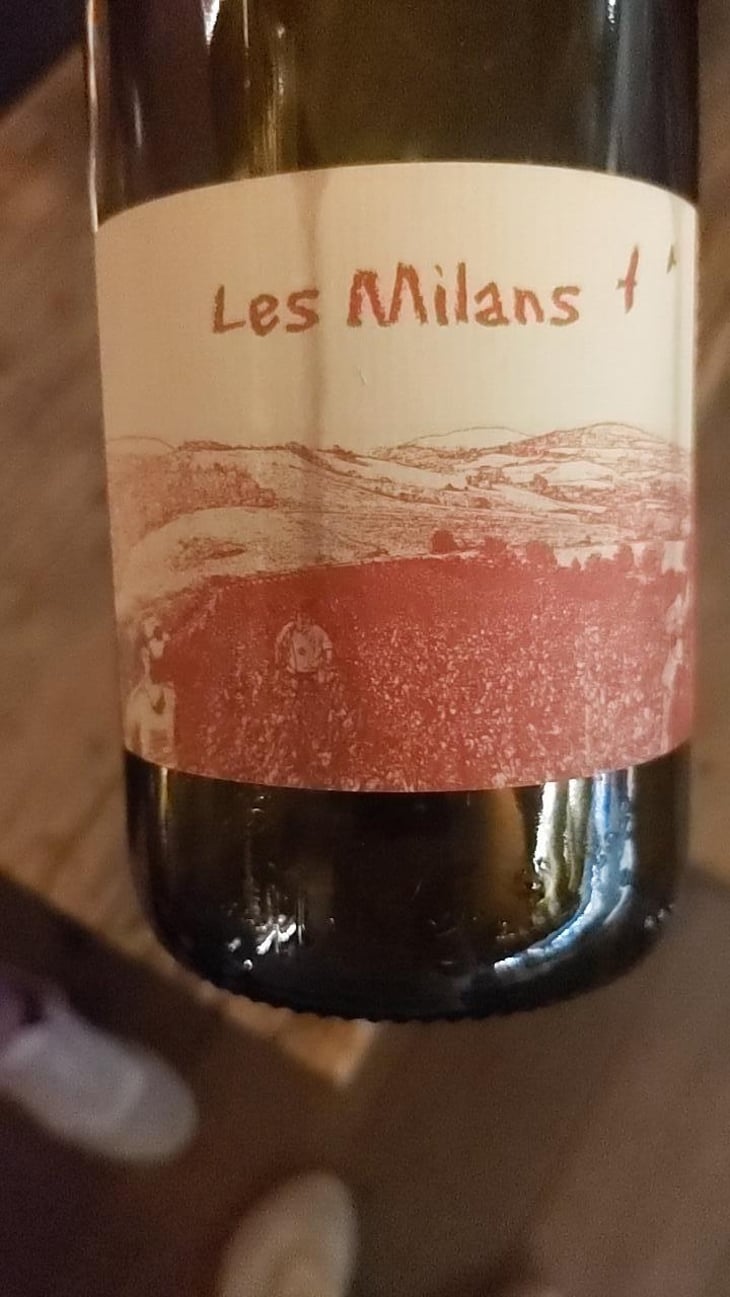 Les Milans - Marie et Vincent Tricot - Vincent et Marie Tricot 