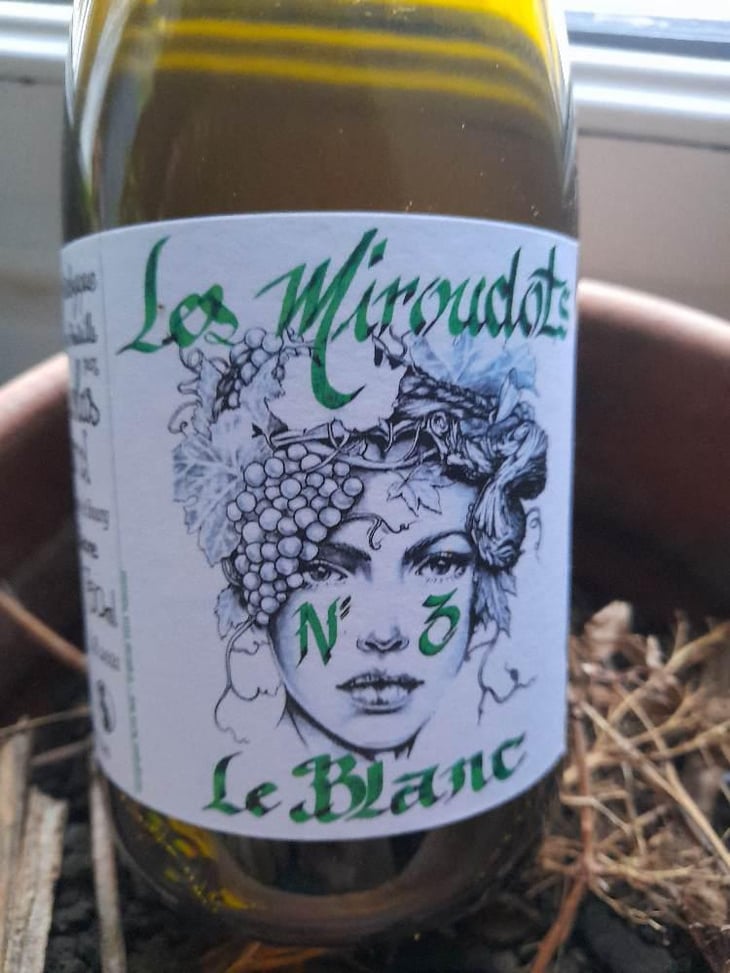 Les Miroudots N°3 - Nicolas BERNARD - Nicolas Bernard -2021