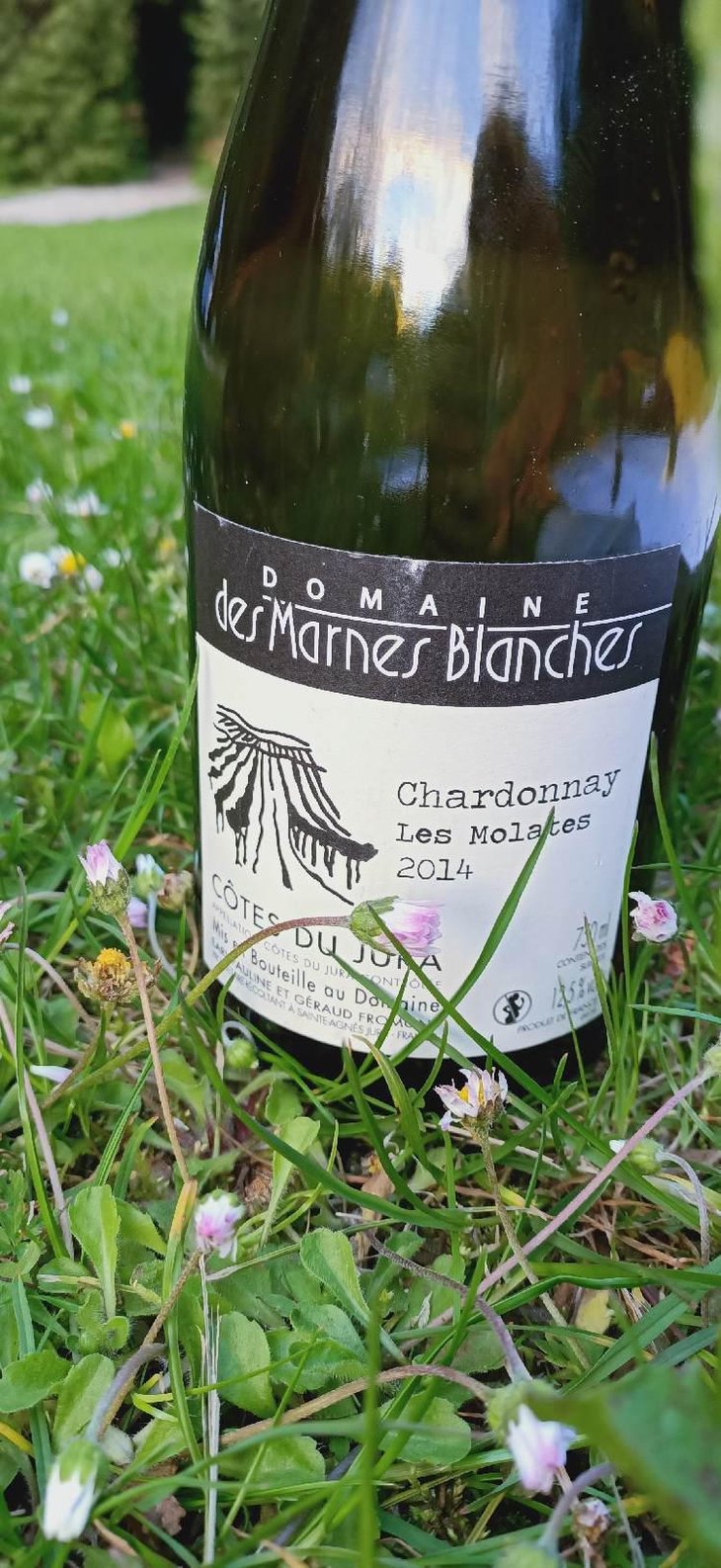 Les Molates Chardonnay - Domaine Des Marnes Blanches - Pauline & Géraud Fromont 