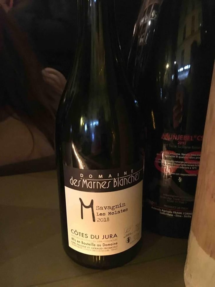 Les Molates Savagnin - Domaine Des Marnes Blanches - Pauline & Géraud Fromont 