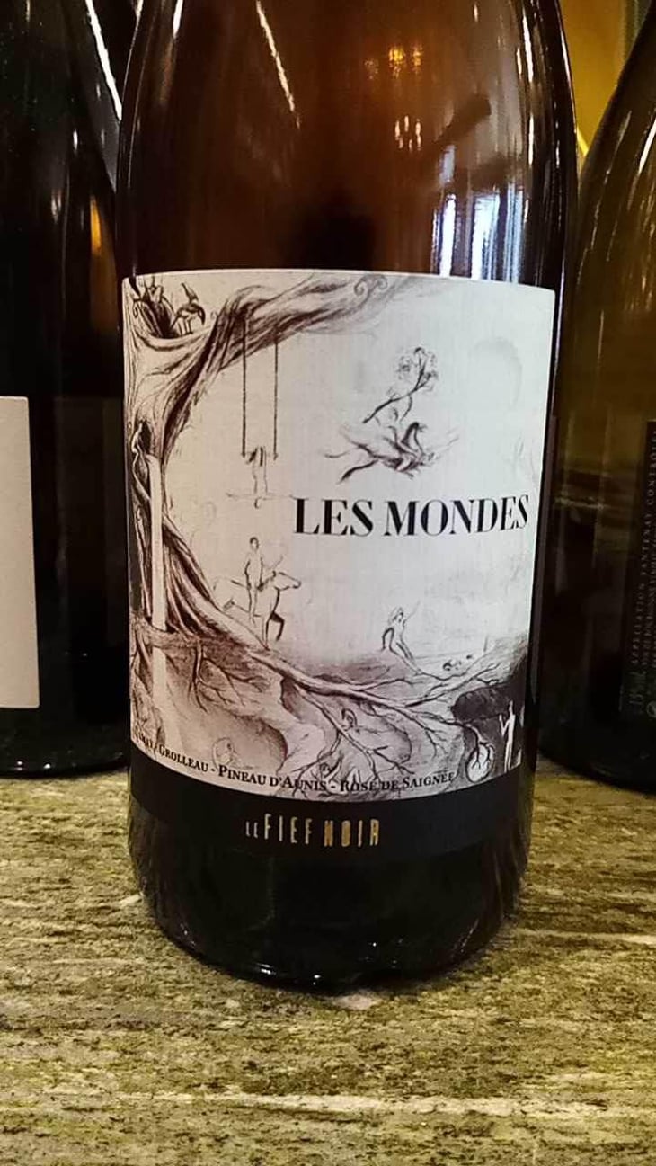 Les Mondes - Le Fief Noir - Dominique Sirot & Alexis Soulas -2020