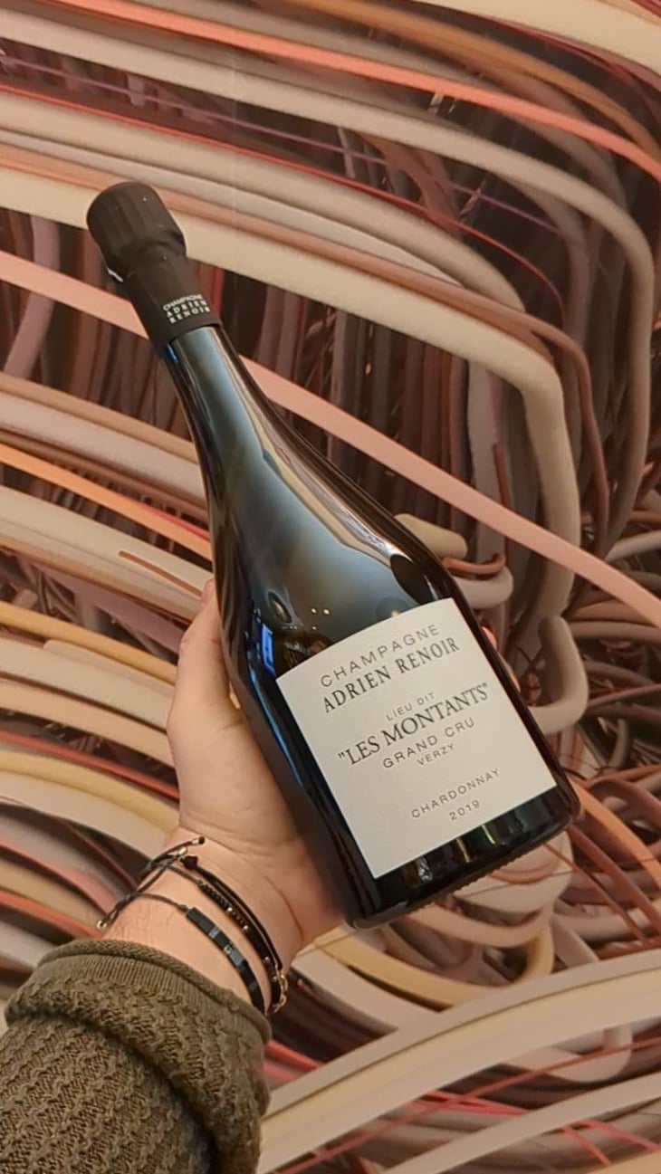 Les montants - Adrien Renoir - Adrien Renoir -2019