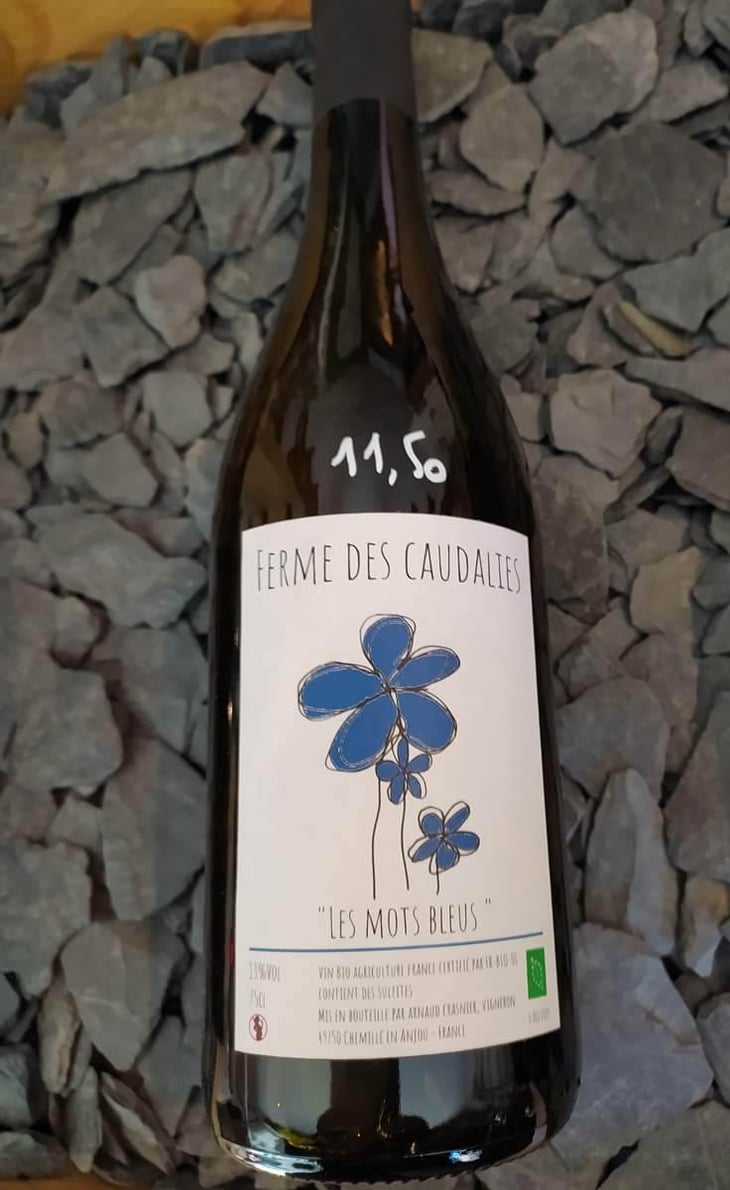 Les Mots Bleus - La Ferme des Caudalies - Arnaud Crasnier 