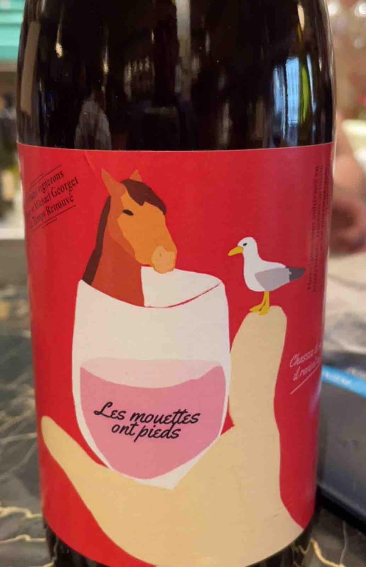 Les mouettes ont pieds - Le Temps Retrouvé - Michaël Georget -2023