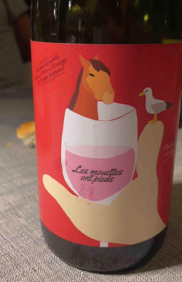 Les mouettes ont pieds - Le Temps Retrouvé - Michaël Georget -2023