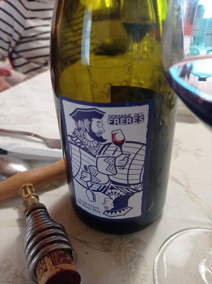 Les Moulins de Beau Puy - Domaine Des Frères - Marie et Valentin Bruneau -2020