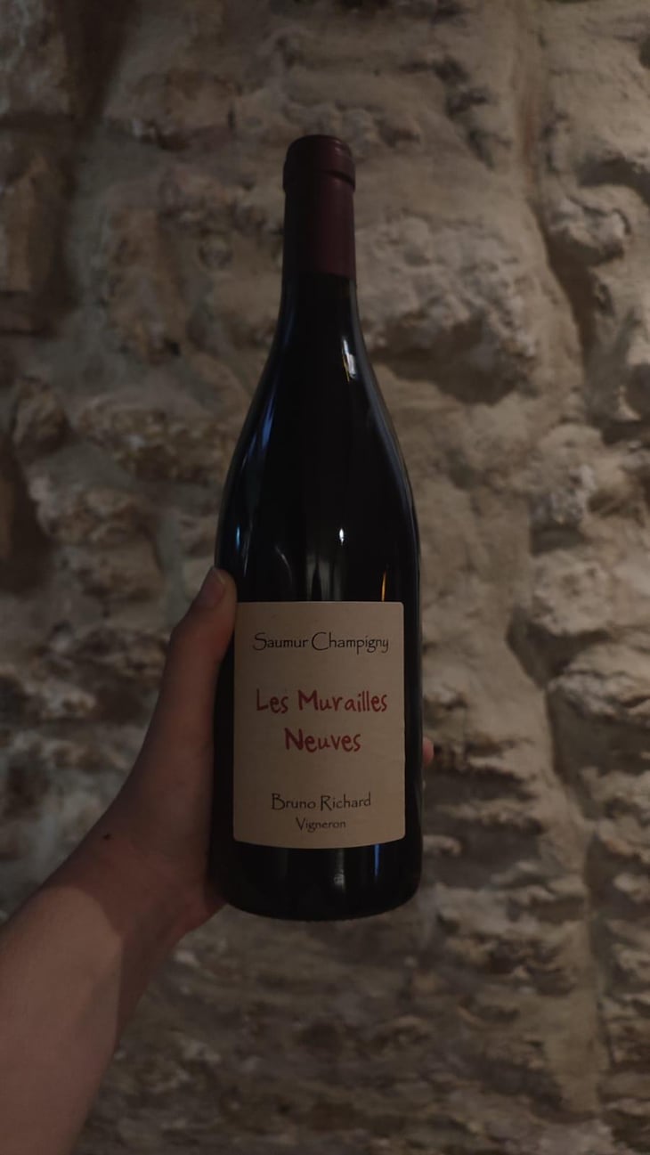 Les Murailles Neuves - Les Murailles Neuves - Bruno Richard 