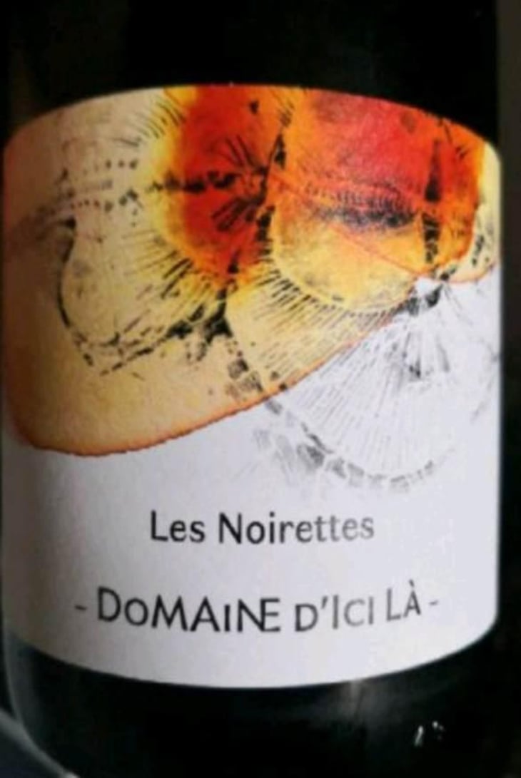 Les Noirettes - Domaine D'ici là - Adrien Bariol 