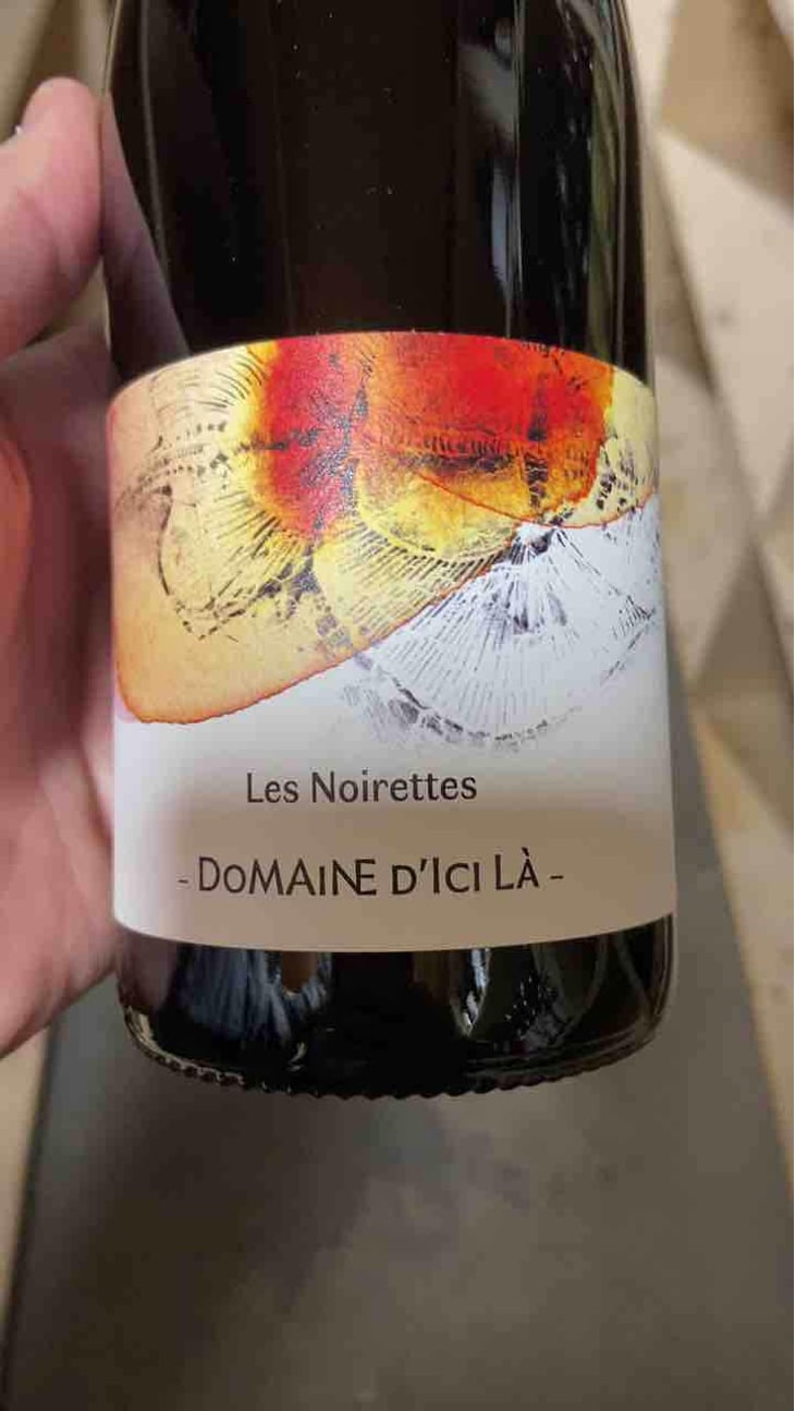 Les Noirettes - Domaine D'ici là - Adrien Bariol 