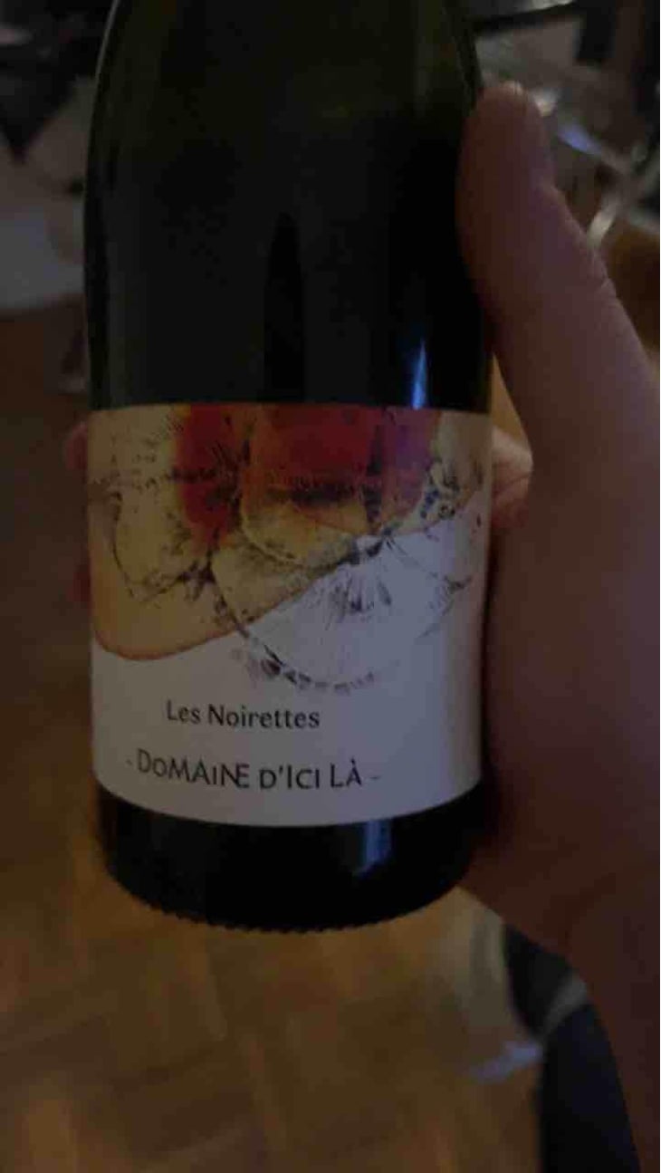 Les Noirettes - Domaine D'ici là - Adrien Bariol 