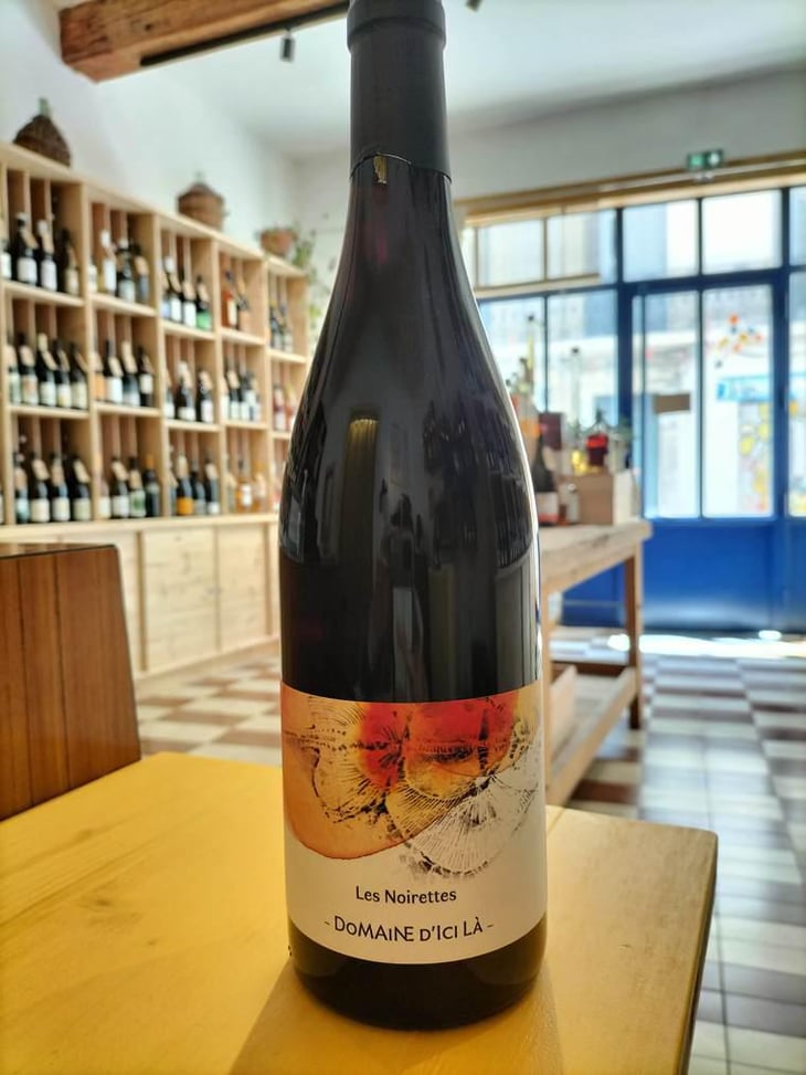 Les Noirettes - Domaine D'ici là - Adrien Bariol 