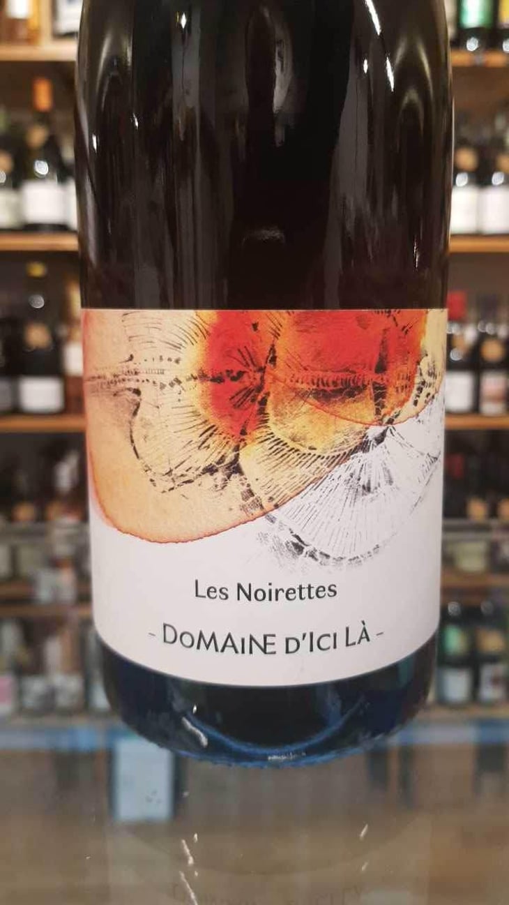 Les Noirettes - Domaine D'ici là - Adrien Bariol 