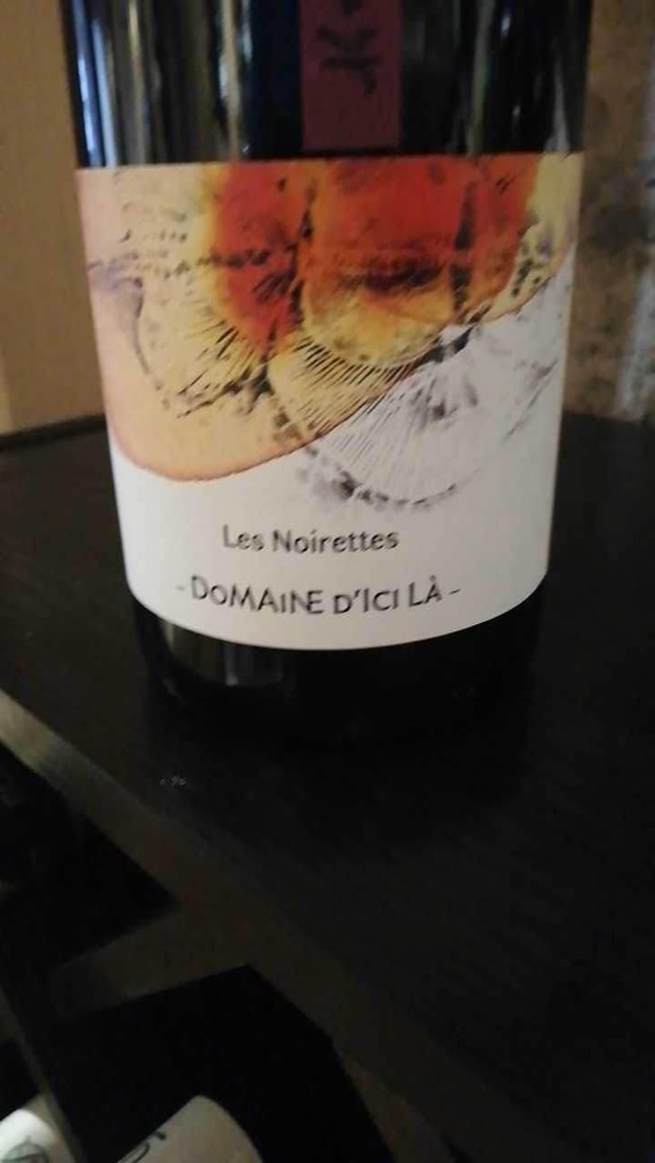 Les Noirettes - Domaine D'ici là - Adrien Bariol 