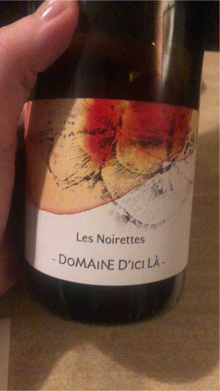 Les Noirettes - Domaine D'ici là - Adrien Bariol 