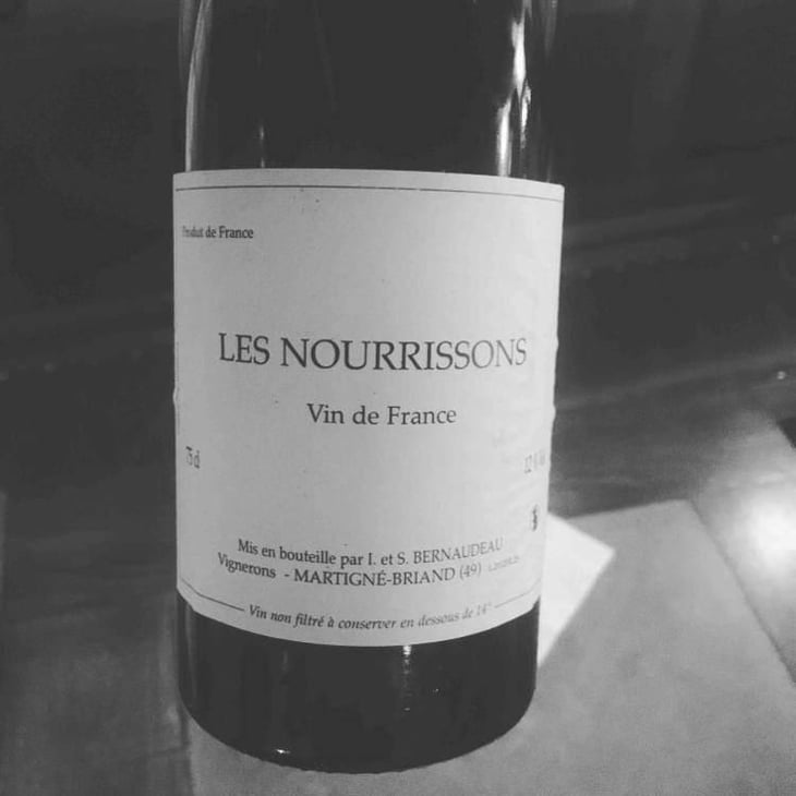 Les Nourrissons - Stéphane Bernaudeau - Stéphane Bernaudeau 