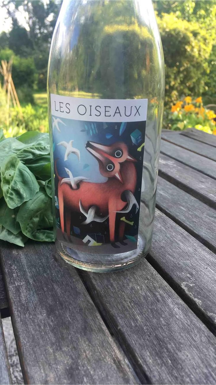 Les Oiseaux - Campagne Sarrière - Ludovic Blairon 