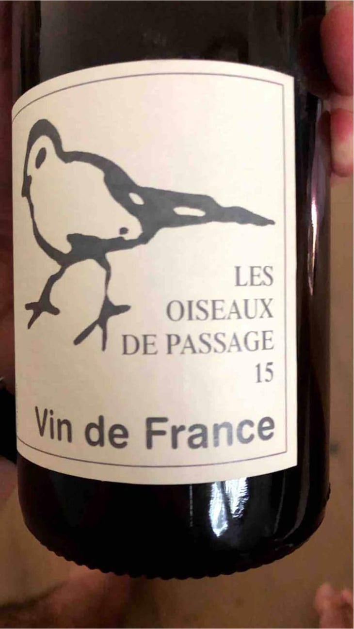 Les Oiseaux De Passage - Didier Grappe - Didier et Jules Grappe 