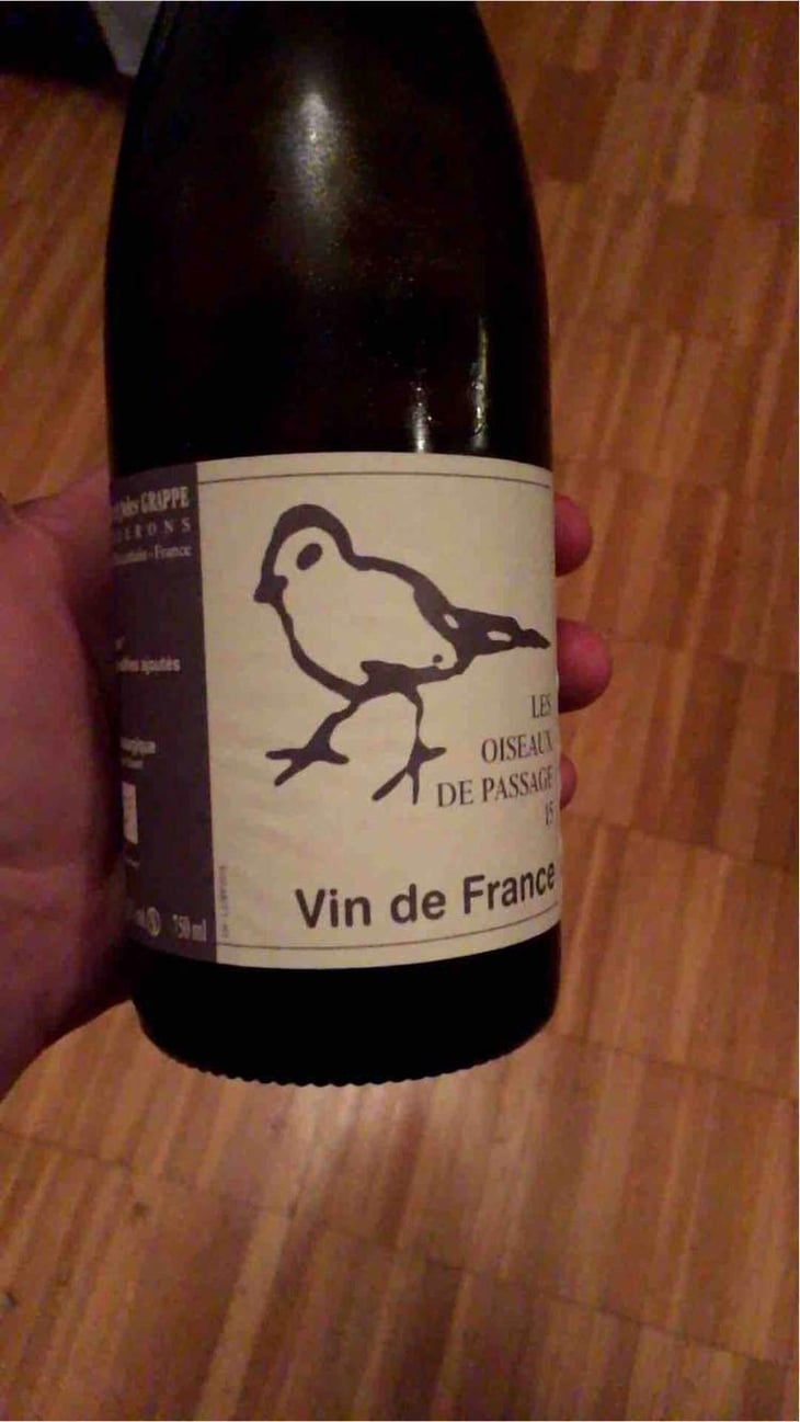 Les Oiseaux De Passage - Didier Grappe - Didier et Jules Grappe 