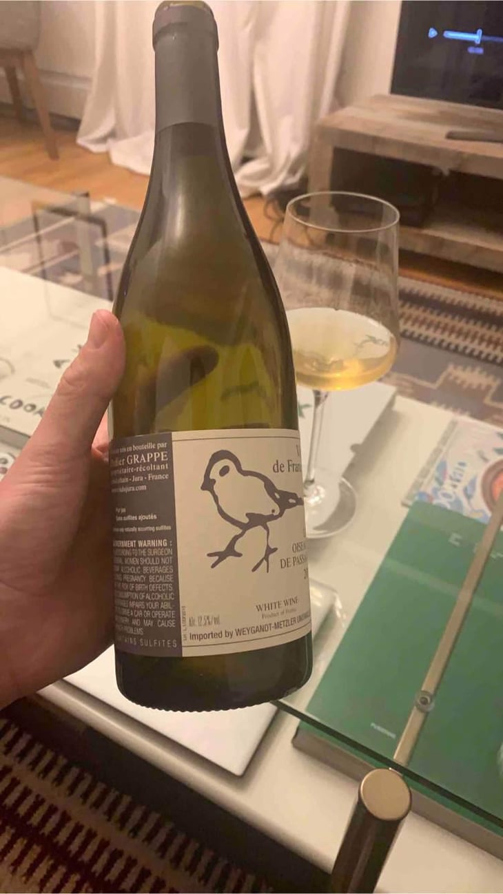 Les Oiseaux De Passage - Didier Grappe - Didier et Jules Grappe 