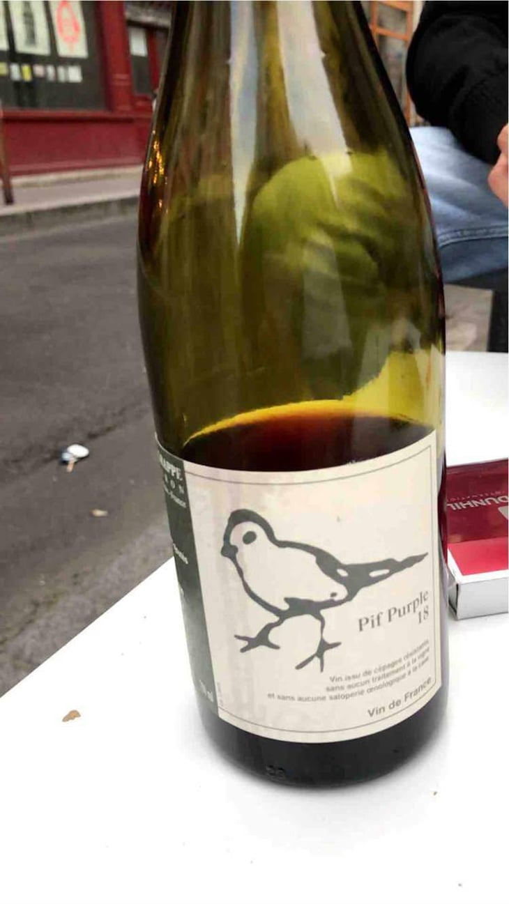 Les Oiseaux De Passage - Didier Grappe - Didier et Jules Grappe 