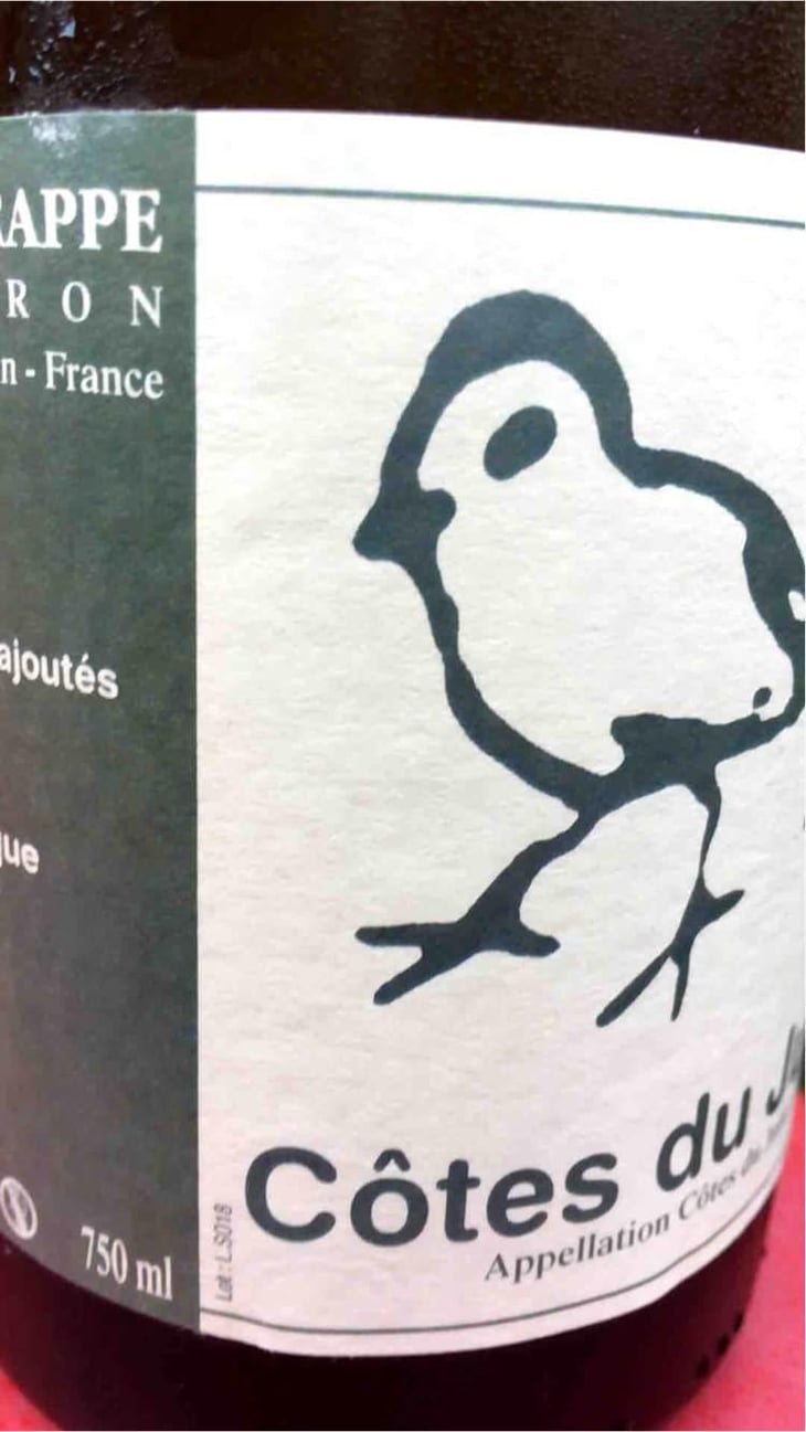 Les Oiseaux De Passage - Didier Grappe - Didier et Jules Grappe 