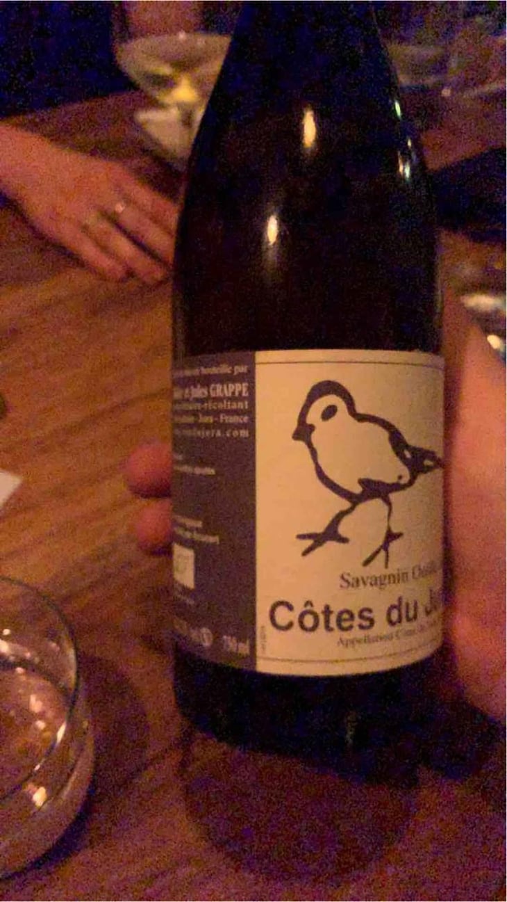 Les Oiseaux De Passage - Didier Grappe - Didier et Jules Grappe 