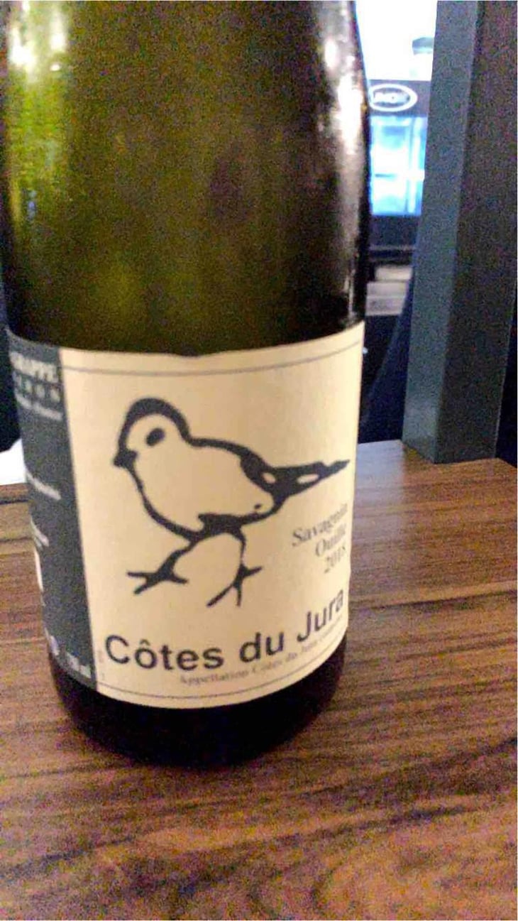 Les Oiseaux De Passage - Didier Grappe - Didier et Jules Grappe 