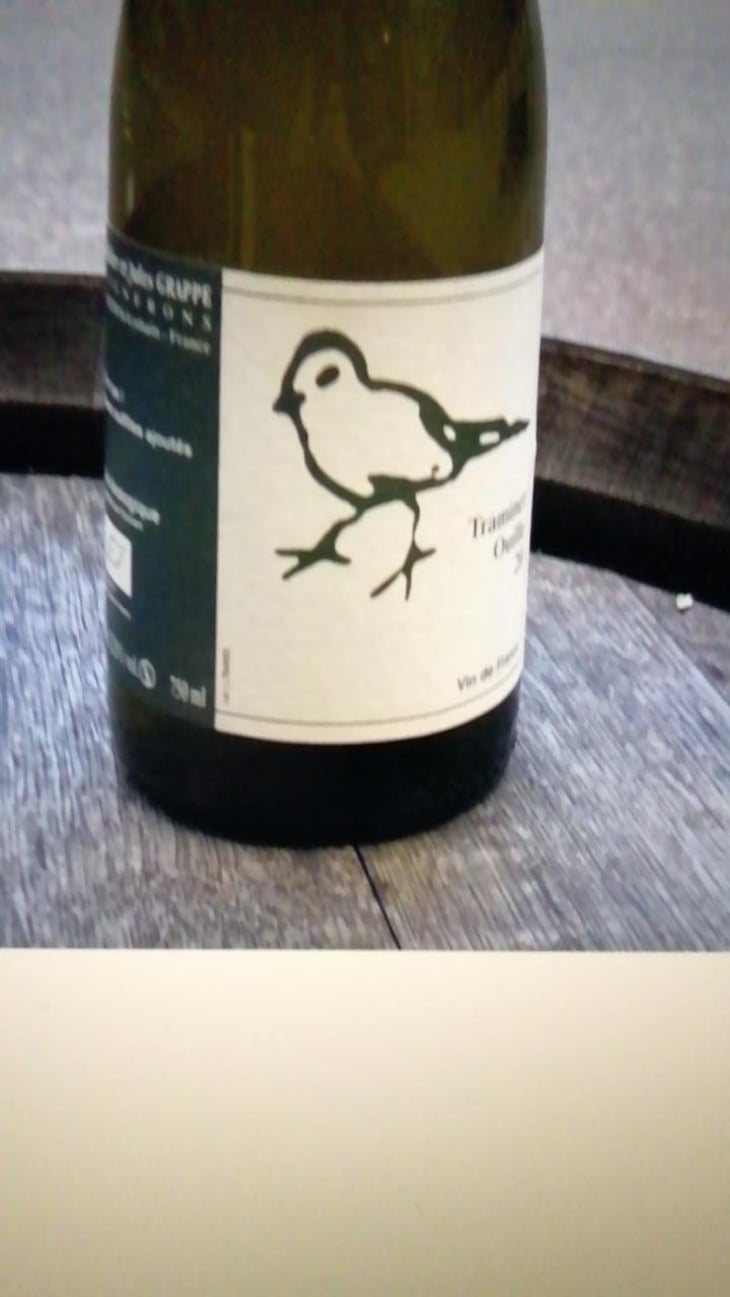 Les Oiseaux De Passage - Didier Grappe - Didier et Jules Grappe 