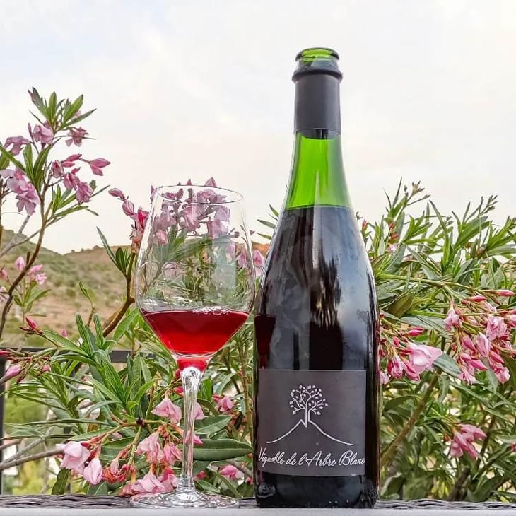 Les Orgues - Domaine de l'Arbre Blanc - Frédéric Gounan 
