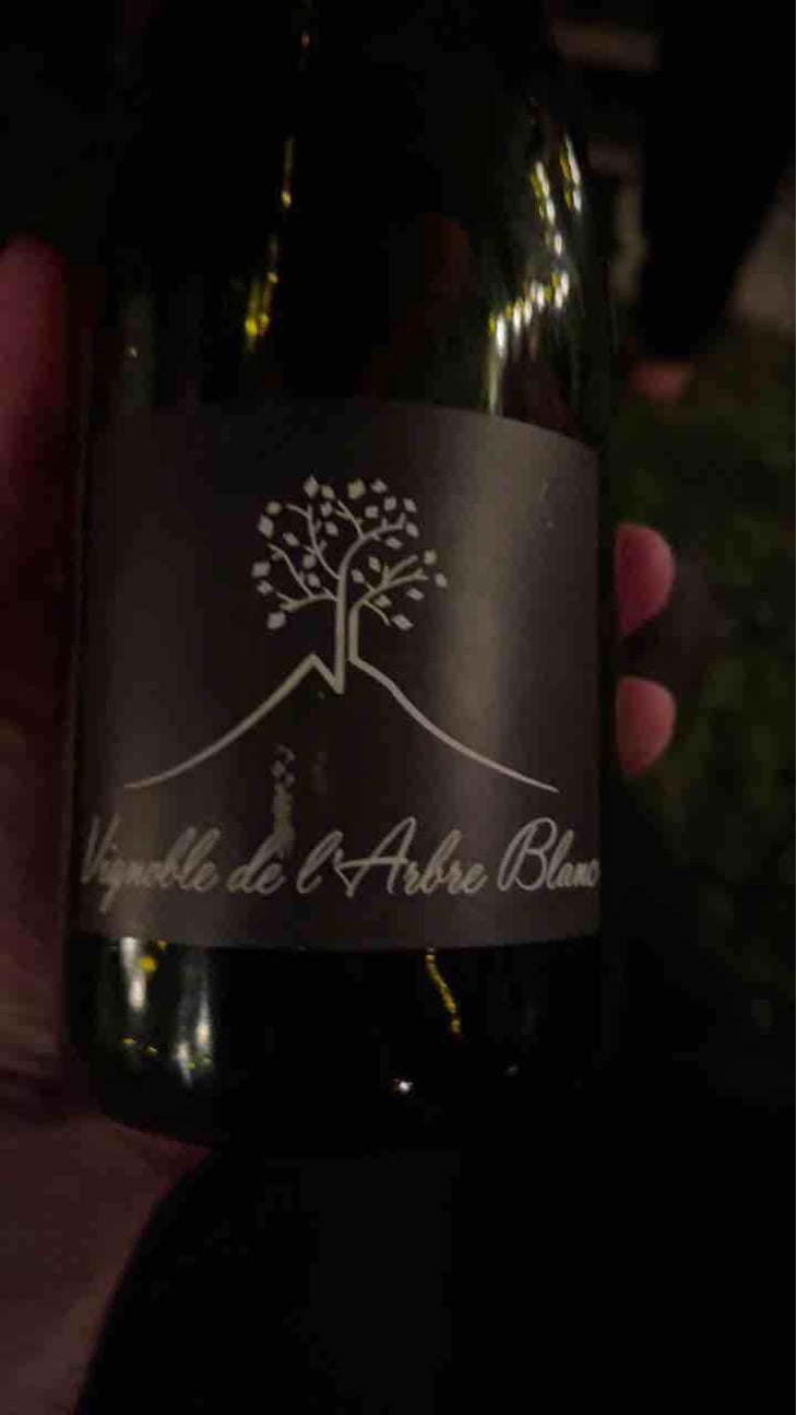 Les Orgues - Domaine de l'Arbre Blanc - Frédéric Gounan 