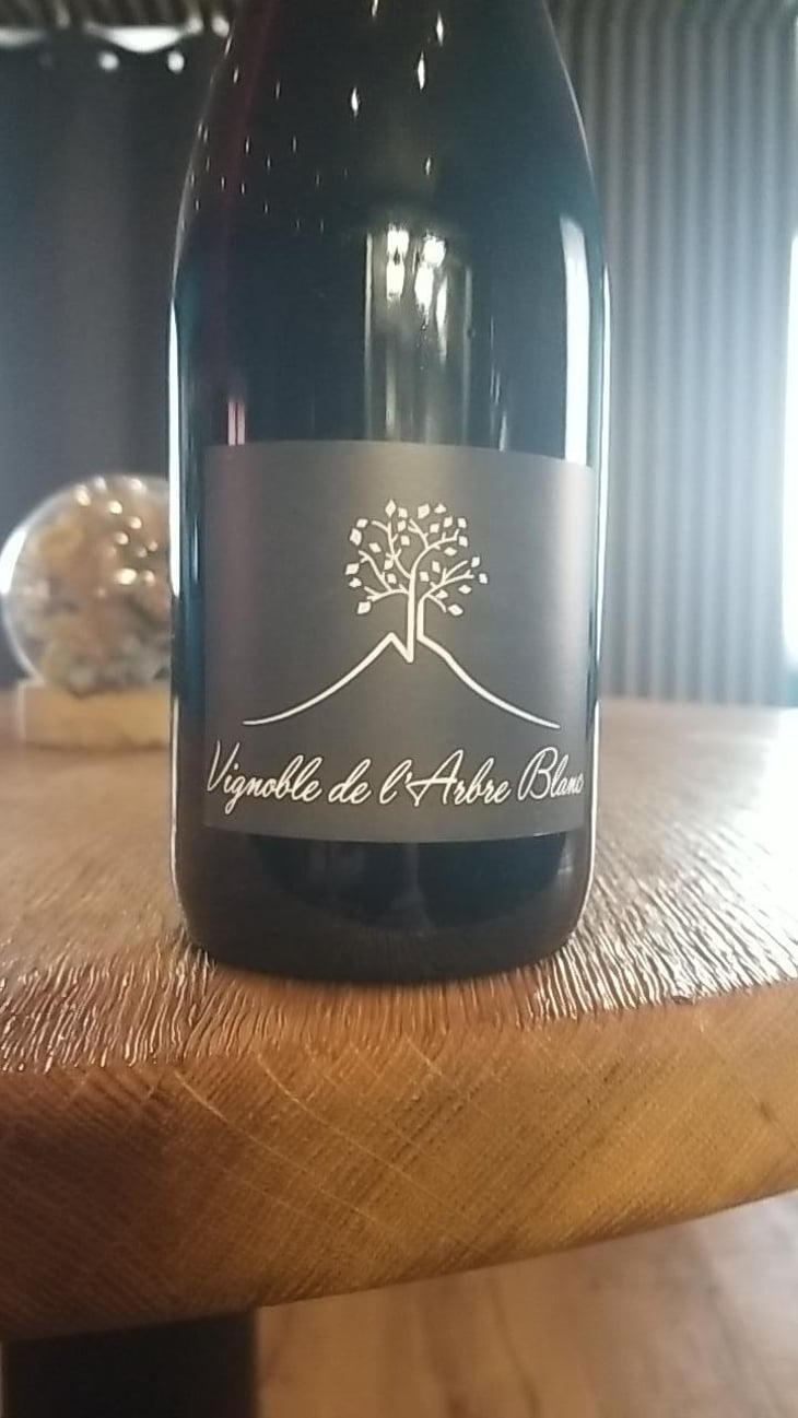 Les Orgues - Domaine de l'Arbre Blanc - Frédéric Gounan 