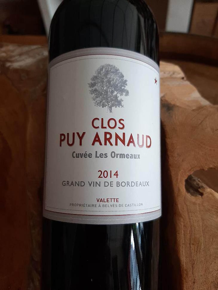 Les Ormeaux - Clos Puy Arnaud - Thierry Valette 