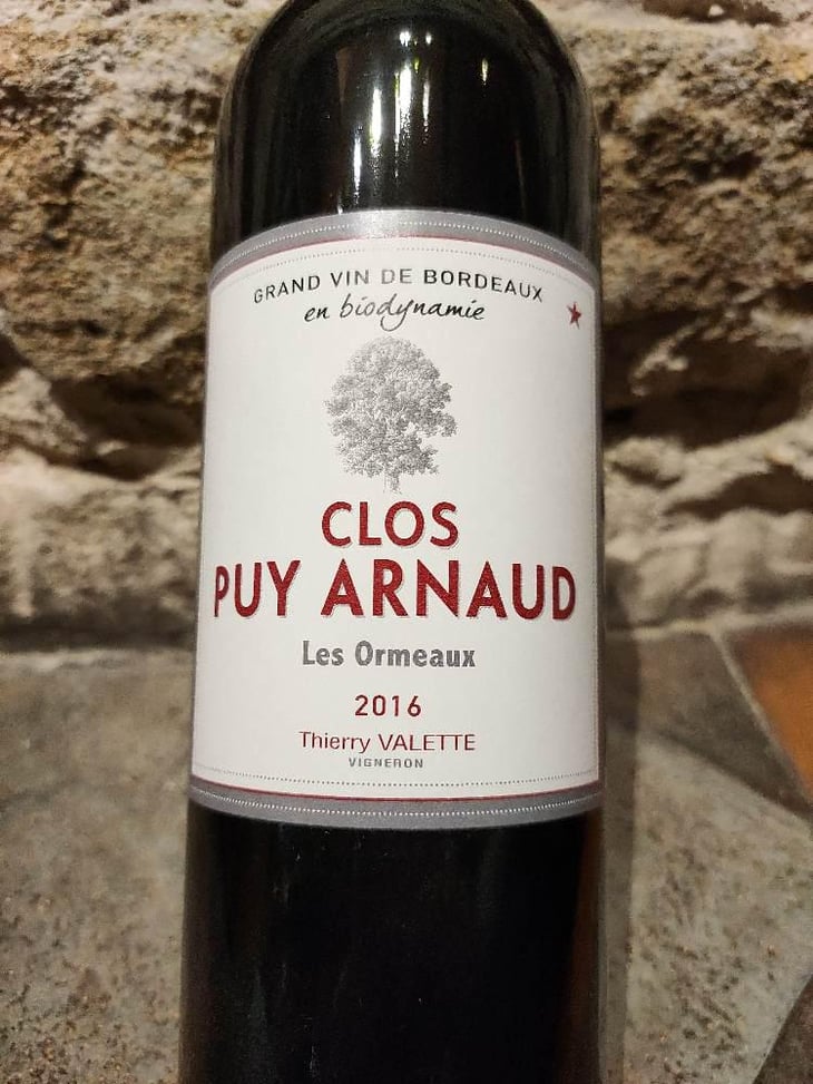 Les Ormeaux - Clos Puy Arnaud - Thierry Valette 