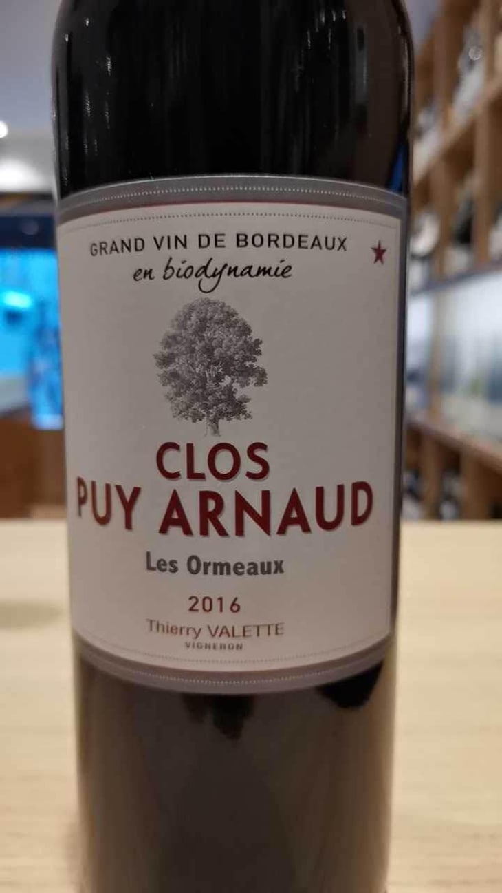 Les Ormeaux - Clos Puy Arnaud - Thierry Valette 
