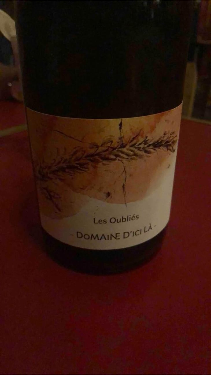 Les Oubliés - Domaine D'ici là - Adrien Bariol 