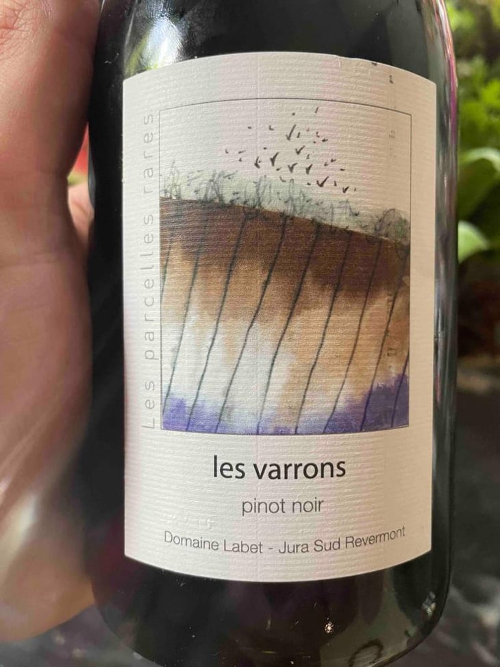 Les Parcelles Rares - Les Varrons Pinot Noir - Domaine Labet - Julien, Charline & Romain Labet 