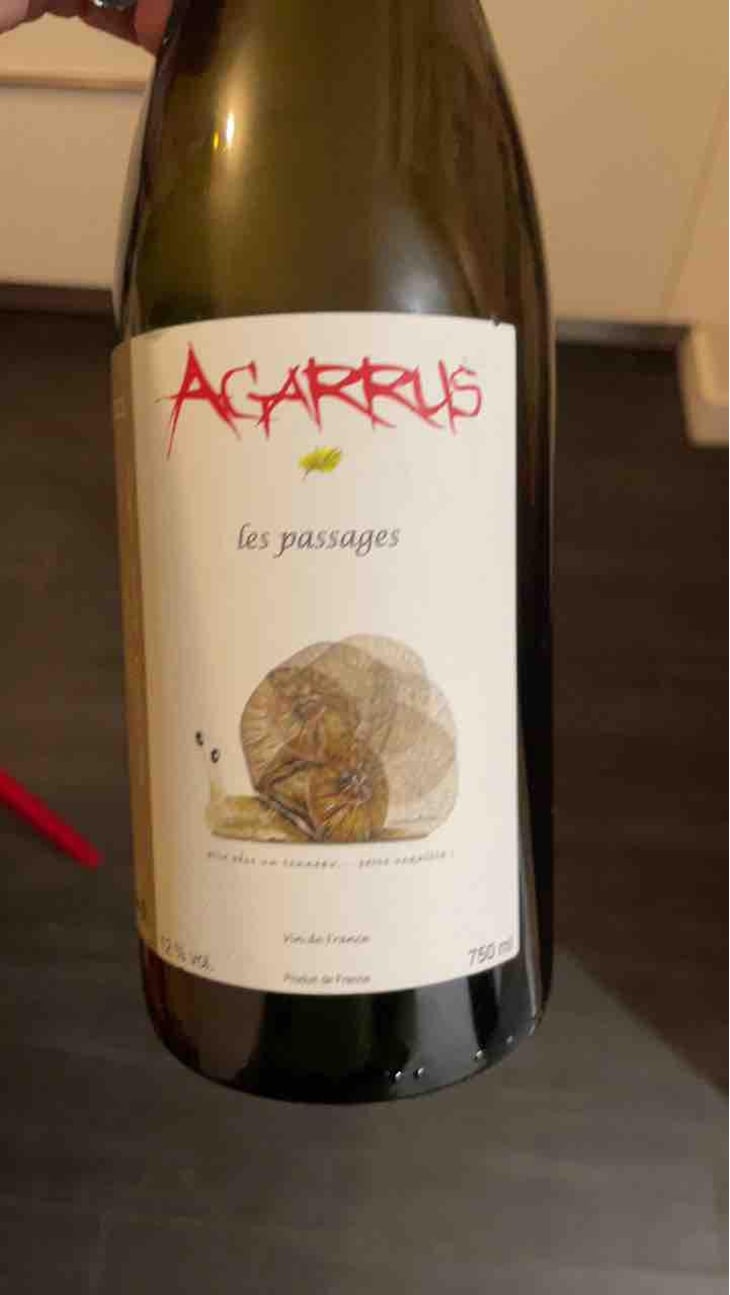 Les Passages - Agarrus - Serge Scherrer -2021